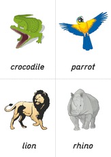 flashcard - zoo 05.pdf